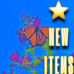 ⭐️NEW ITEMS ALERT